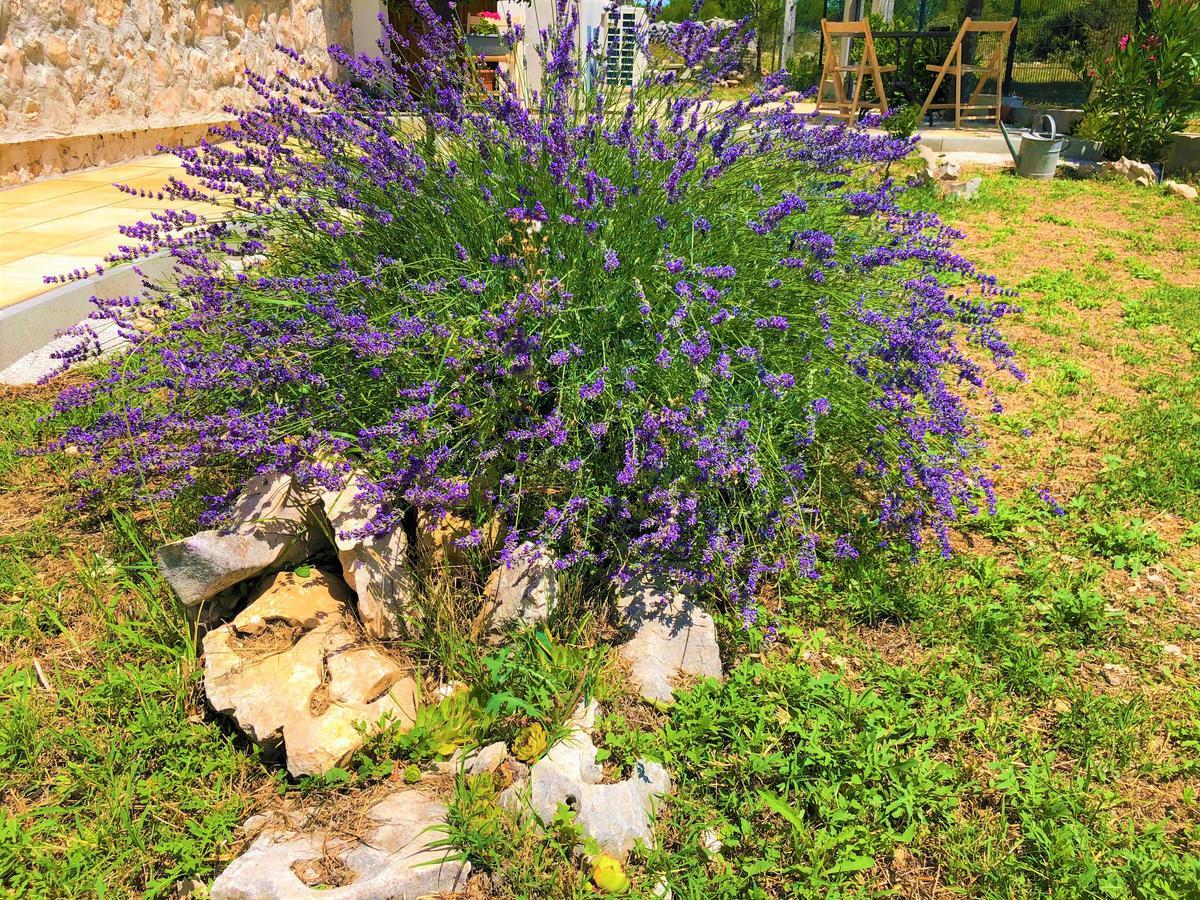 Apartments Village Lozovac Luaran gambar